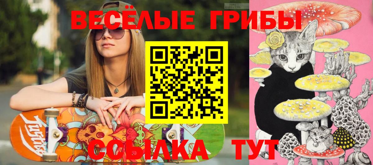 Холмск  Псилоцибиновые грибы мицелий  Вход с VPN 